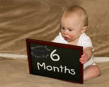 I'm Six Months Old Already?